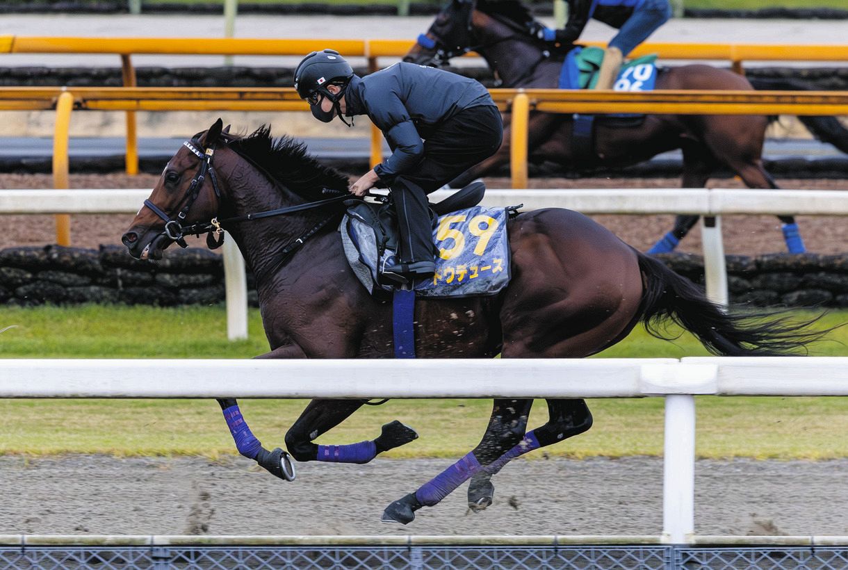 天皇賞・秋】過去のデータから『消せる馬』 三冠牝馬リバティアイランド脱落…過去10年で前走海外遠征馬の好走実績なし：中日スポーツ・東京中日スポーツ