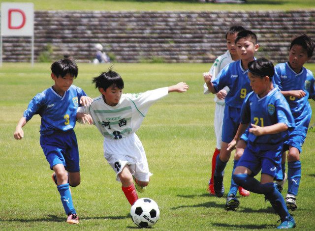 ｕ １０の１６チームが熱戦 野洲で県少年団サッカー大会 中日新聞web