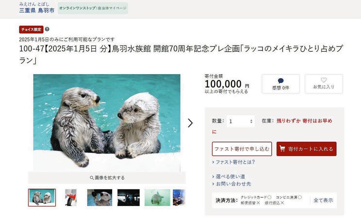 水族館のラッコを「ひとり占め」 鳥羽市、ふるさと納税返礼品に貸切見学：中日新聞Web