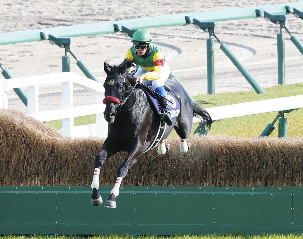 中山グランドJ】1番人気エコロデュエルが横綱相撲で連覇達成、2年連続