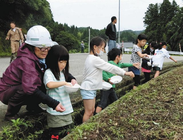種まき 苗植えにぎやか 砺波で３世代交流事業 北陸中日新聞web