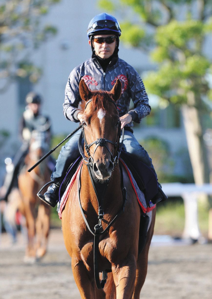 皐月賞馬・ジオグリフは福永とのコンビ スミヨンの騎乗停止処分受け