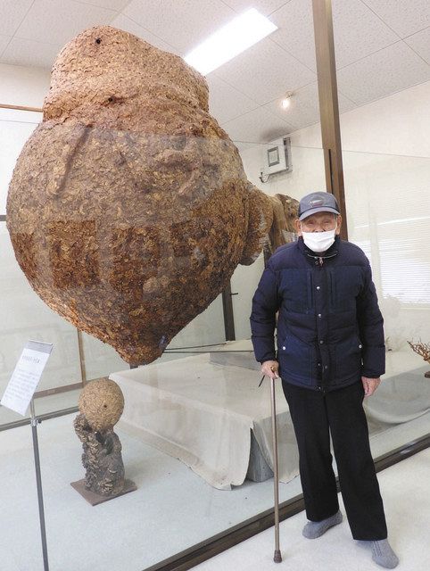 お宝発見！＞ （３）ハチ博物館の巨大な蜂の巣：中日新聞Web