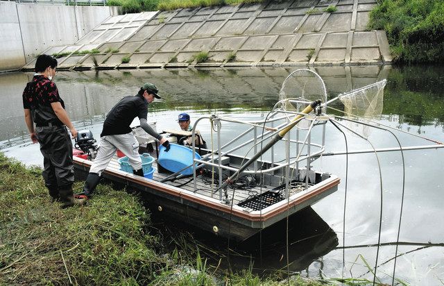 県職員、コクチバス対策の方法を学ぶ 長良川、電気ショッカー船で駆除：中日新聞Web