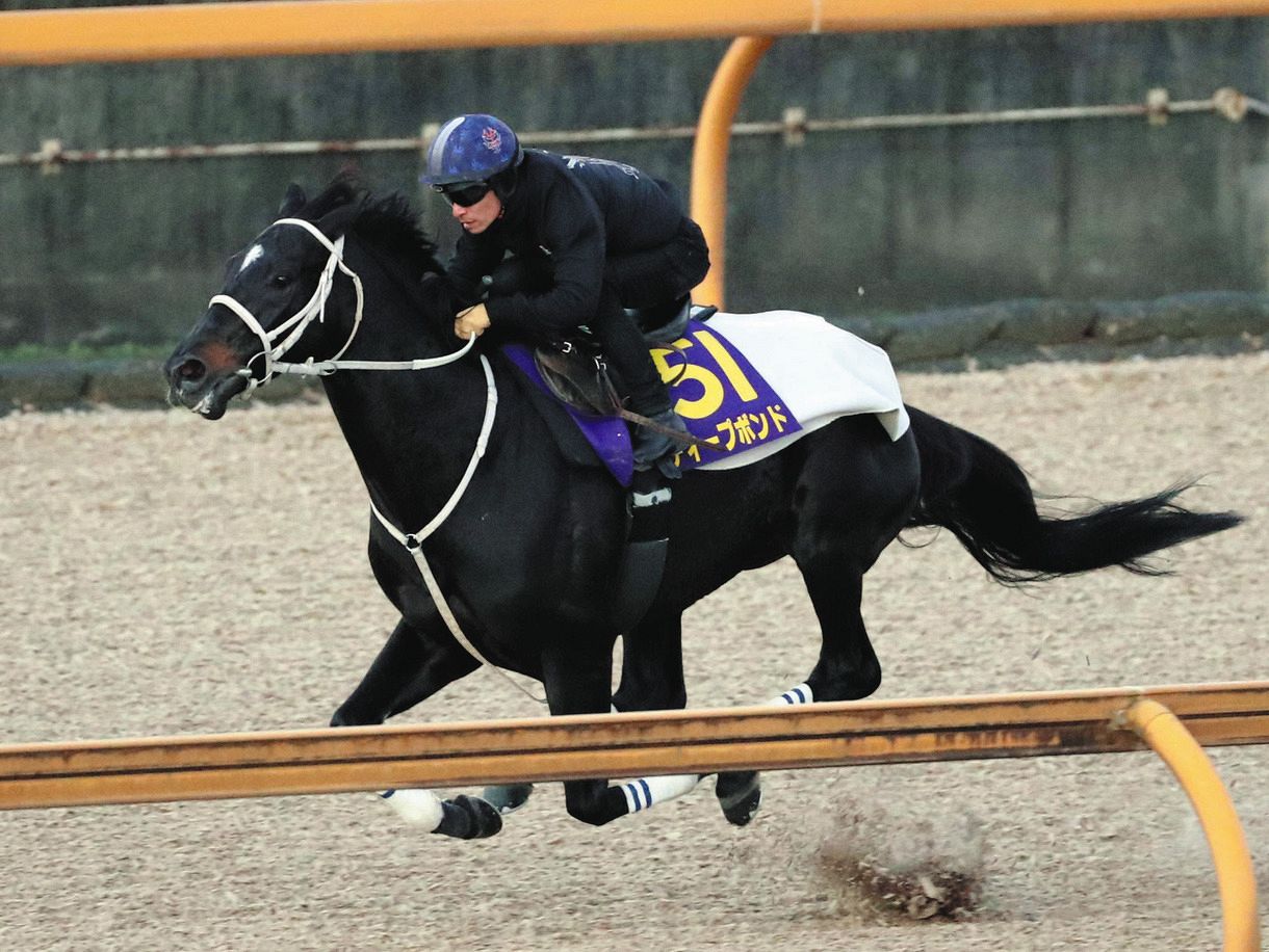 売り切り 競馬 ディープボンド 凱旋門賞ジャケット 帽子｜トップス