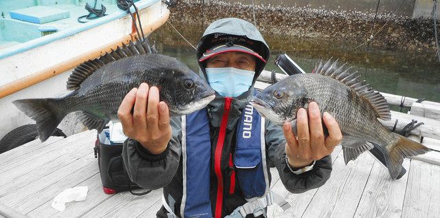 クロダイ第1陣 三重 宿浦イカダ 中日スポーツ 東京中日スポーツ クロダイ第1陣 三重 宿浦イカダ 中日スポーツ 東京中日スポーツ