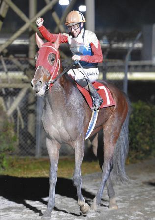 写真 泥だらけでも美しい ミシェル会心のガッツポーズ 中日スポーツ 東京中日スポーツ