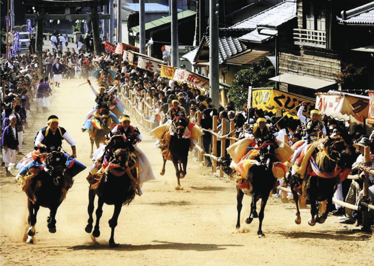 リトレーニングされた馬も参加している愛媛県今治市の神事、お供馬の走り込み（ＮＰＯ法人菊馬会提供）