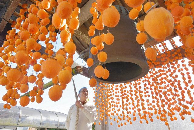 柿景色、実りの秋 高森・松源寺で干し柿作り：中日新聞Web