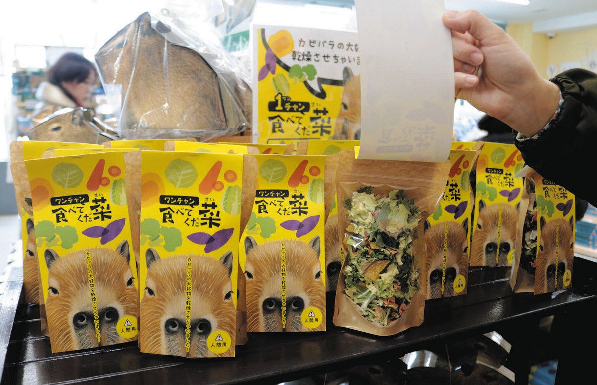 カピバラの好物を土産に 竹島水族館、岡崎の障害者施設と新商品開発