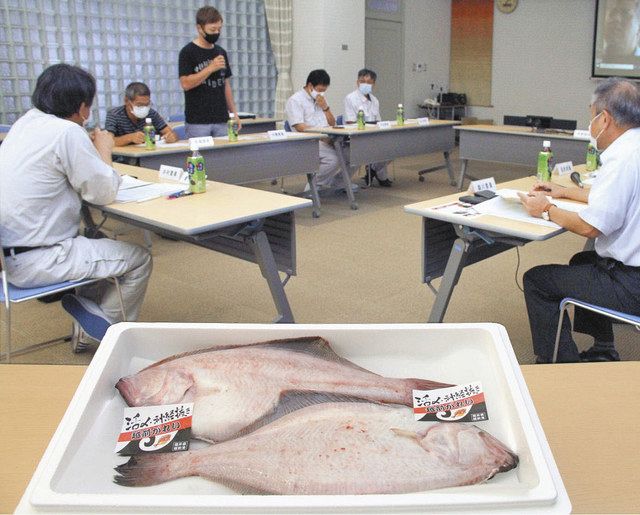 越前がれい大型雌をプレミアム化 県がブランド検討 中日新聞web