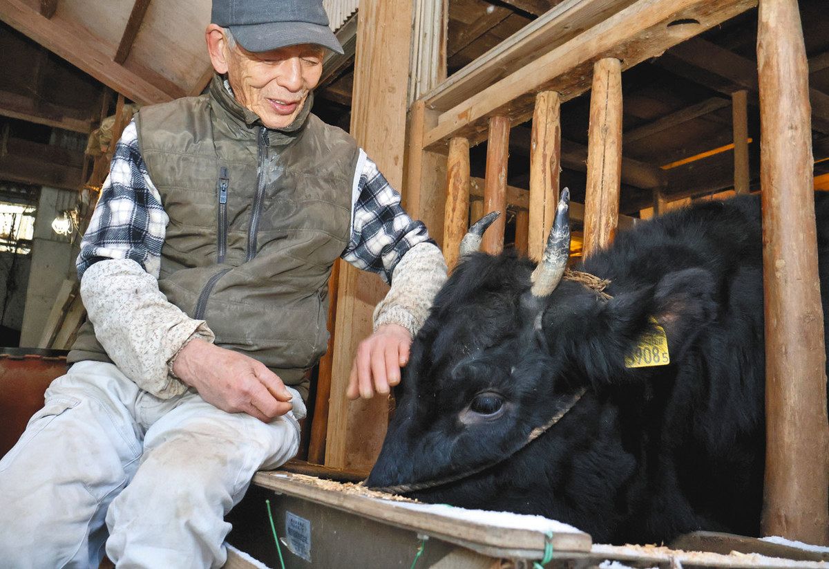 これ以上の肉はない」特産松阪牛が誇りの牛飼い こだわりの先で襲った