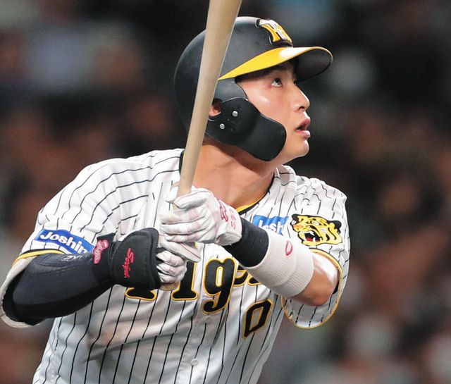 阪神 木浪聖也 選手のサイン入りバット - バット