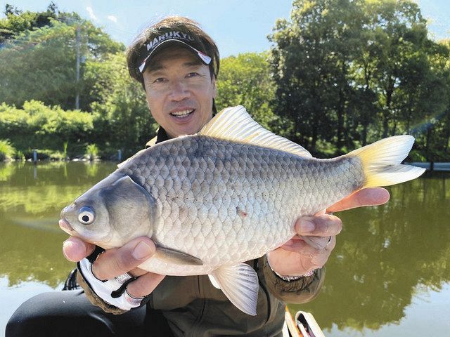 野田幸手園でペレ宙のヘラ釣り 満足 良型中心に５２匹の釣果 中日スポーツ 東京中日スポーツ