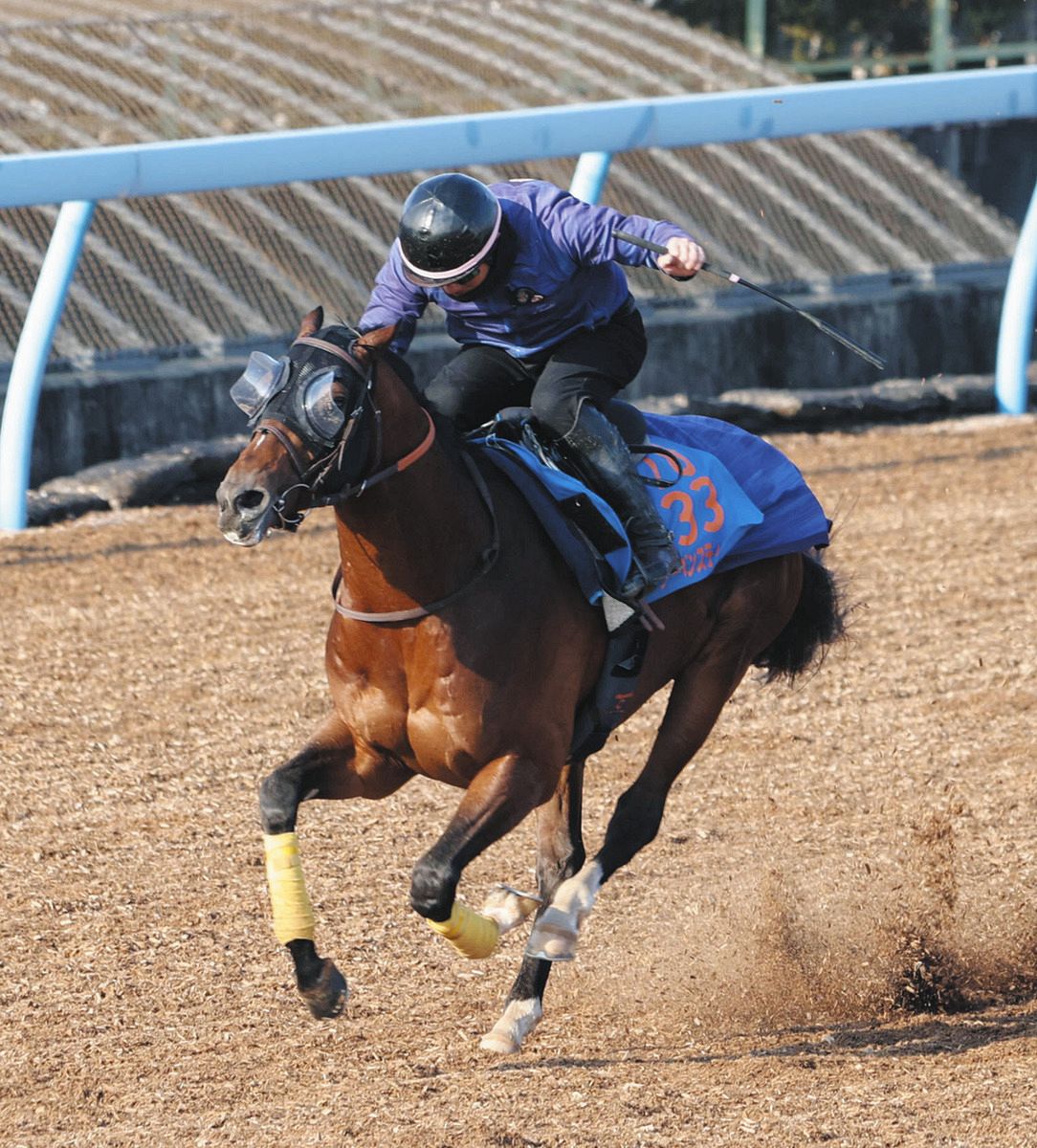 DASH和歌山/J-PLACEの単勝馬券: はしやんのブログ