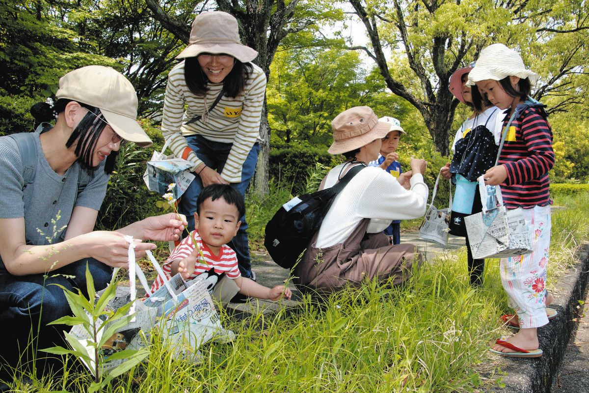 母子ら自然散策満喫 小幡緑地で「なごや環境大学」講座：中日新聞Web