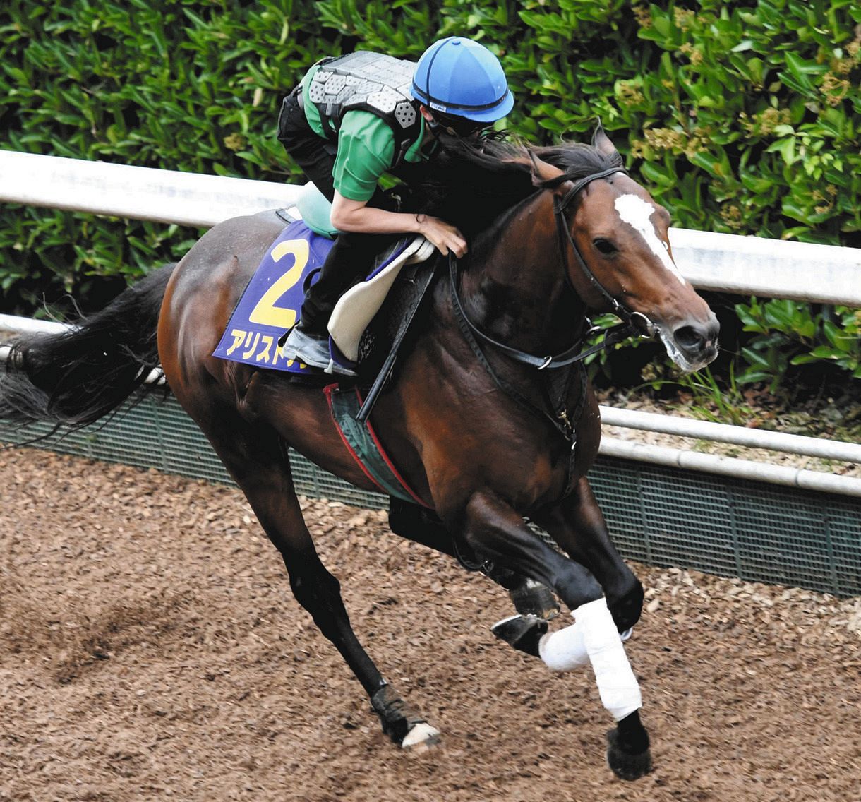 中距離戦に戻るアリストテレス 牝馬3騎まとめて打ち負かしてみせる ラスト鋭伸12秒5 宝塚記念追い切り 中日スポーツ 東京中日スポーツ