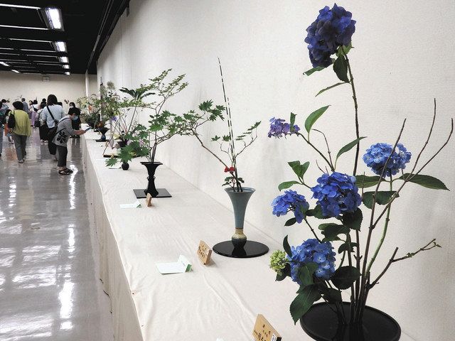 思い思い夏表現 四日市でいけばな池坊展 中日新聞web