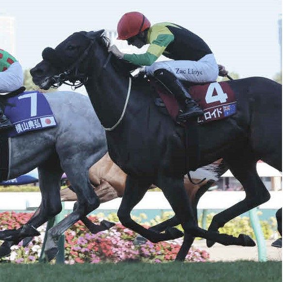 WASJ】「ここに来られたことは名誉」…憧れの日本競馬でロイド騎手が 