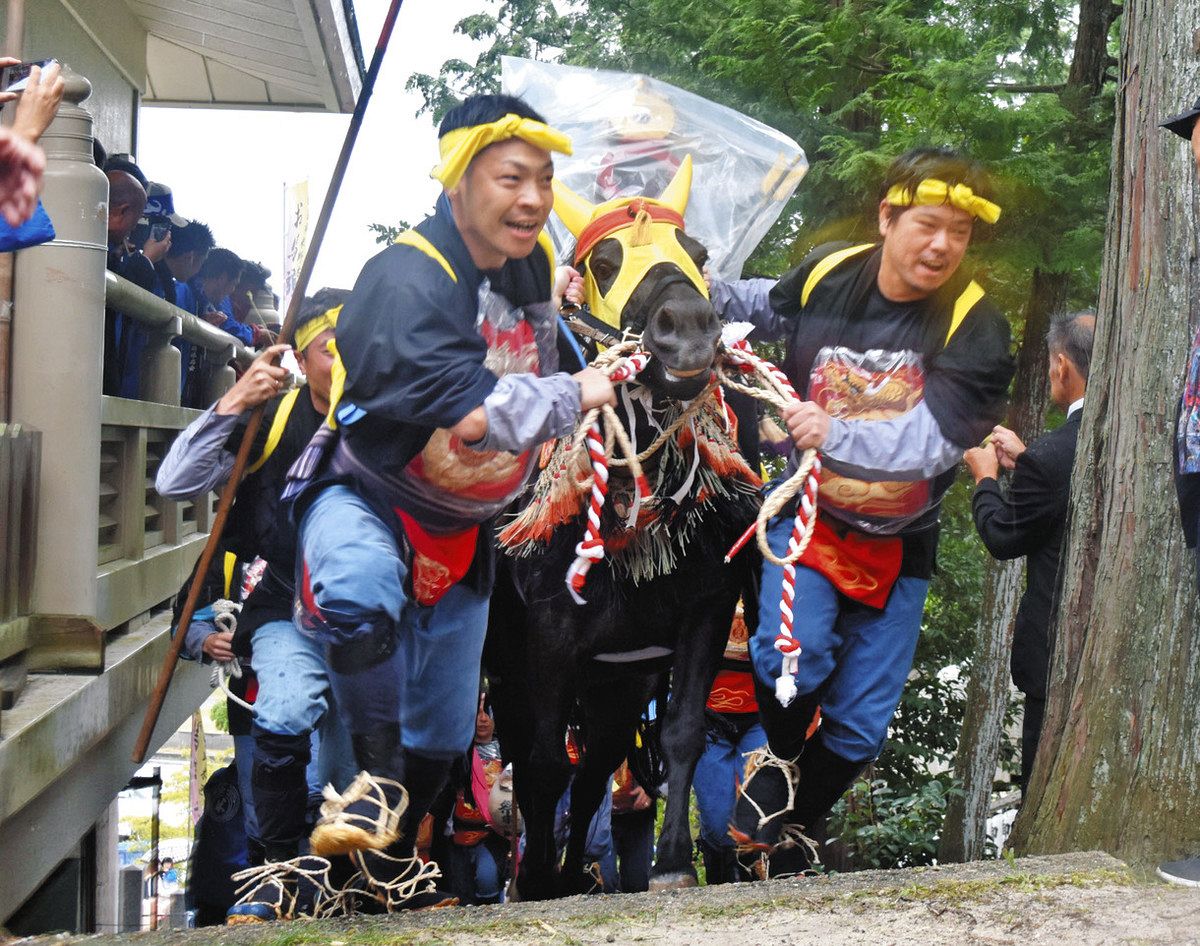 飾り馬奉納、伝統を未来へ 日進の米野木神明社で「お馬頭」：中日新聞Web