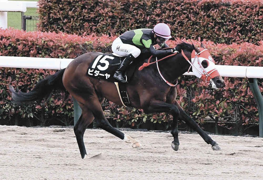 【東京11R欅S】早め先頭のビダーヤ2着馬の猛追をしのいで首差押し切る　ダートに転じて4連勝：中日スポーツ・東京中日スポーツ 