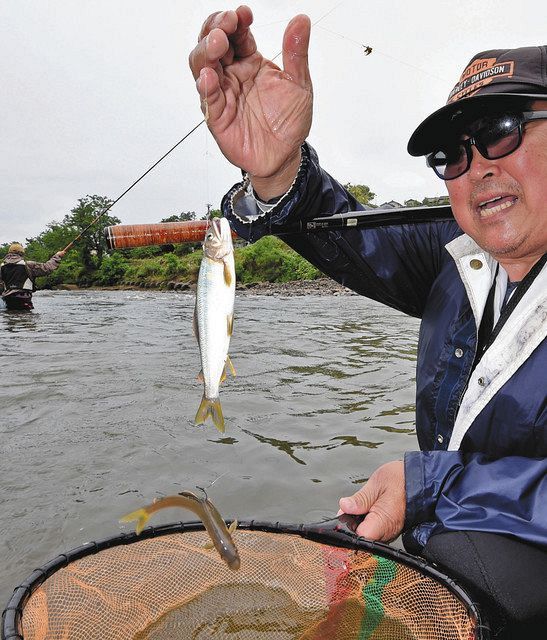 アユ解禁直前 試し釣り上々 犀川で金沢漁協 北陸中日新聞web
