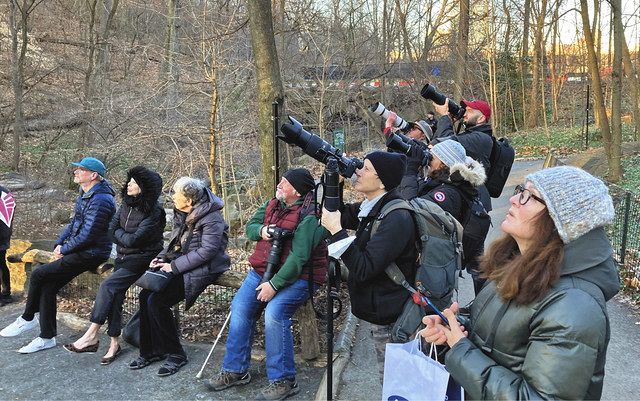 ニュートロファー・フォリック・フラコネットのリーフレット