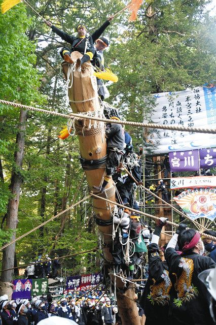 超安い 八本の建御柱を建立 諏訪大社御柱祭・上社里曳き最終日：中日新聞Web その他
