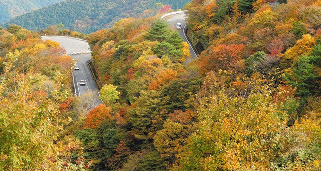 錦秋 山肌彩る伊吹山 ９００メートル付近見頃 中日新聞web