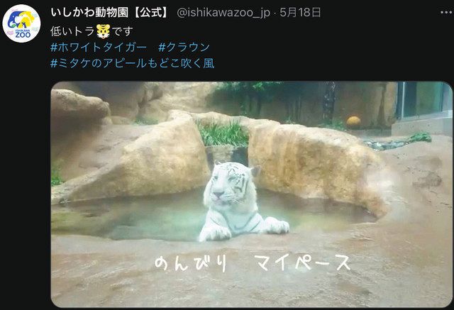 臨時休園中 元気な様子見て いしかわ動物園 ｓｎｓ積極発信 北陸中日新聞web