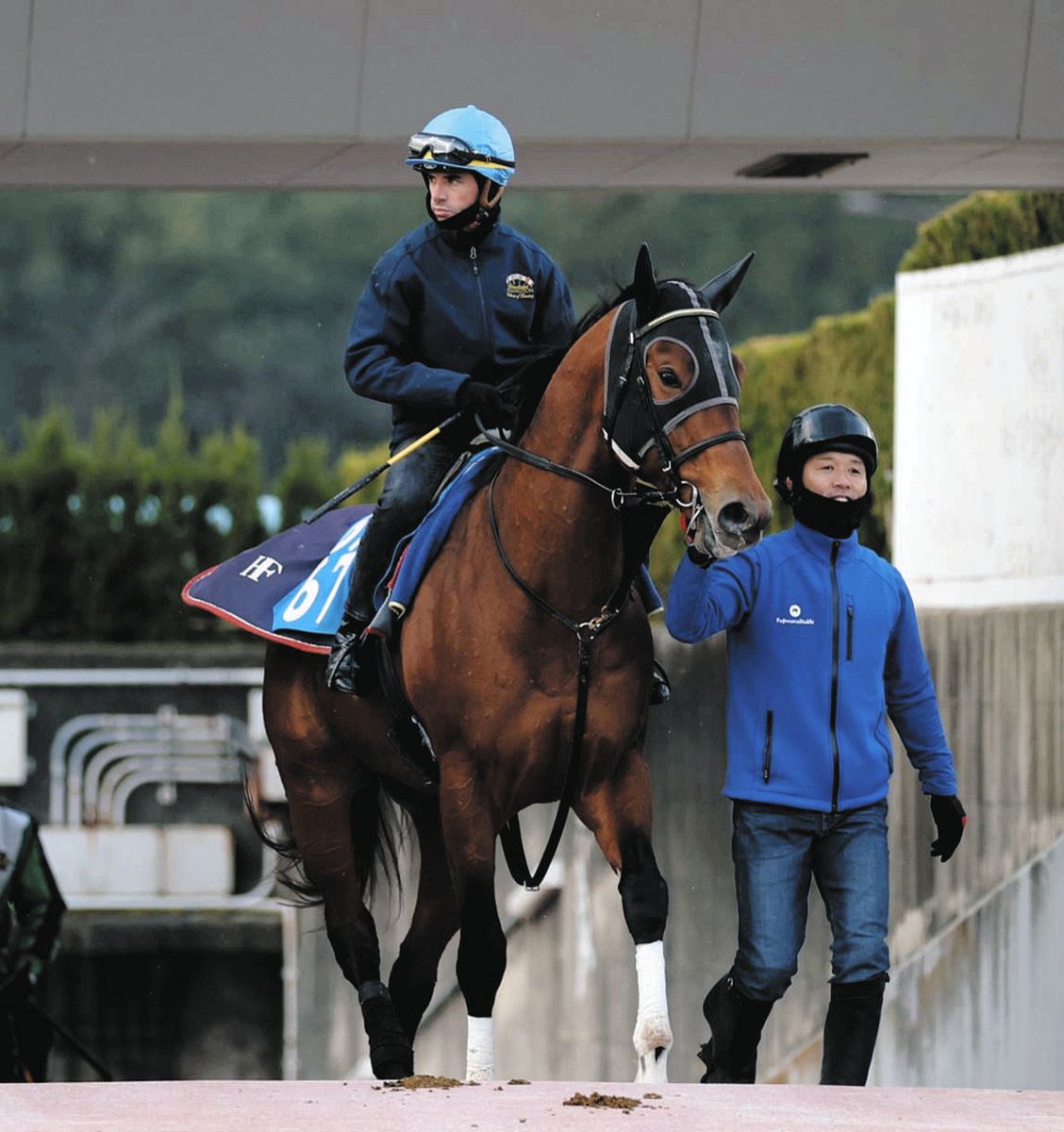 チャンピオンズC】ダートの本場・米国から名ジョッキーが日本初参戦