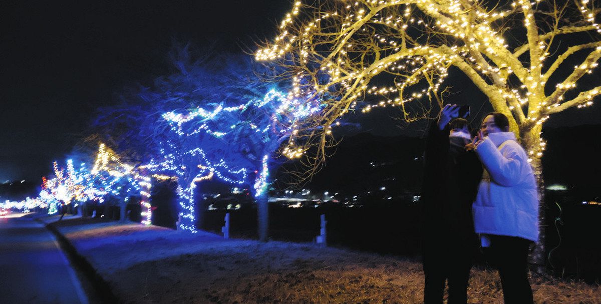 天龍峡の桜並木キラキラ 住民らイルミネーション：中日新聞Web