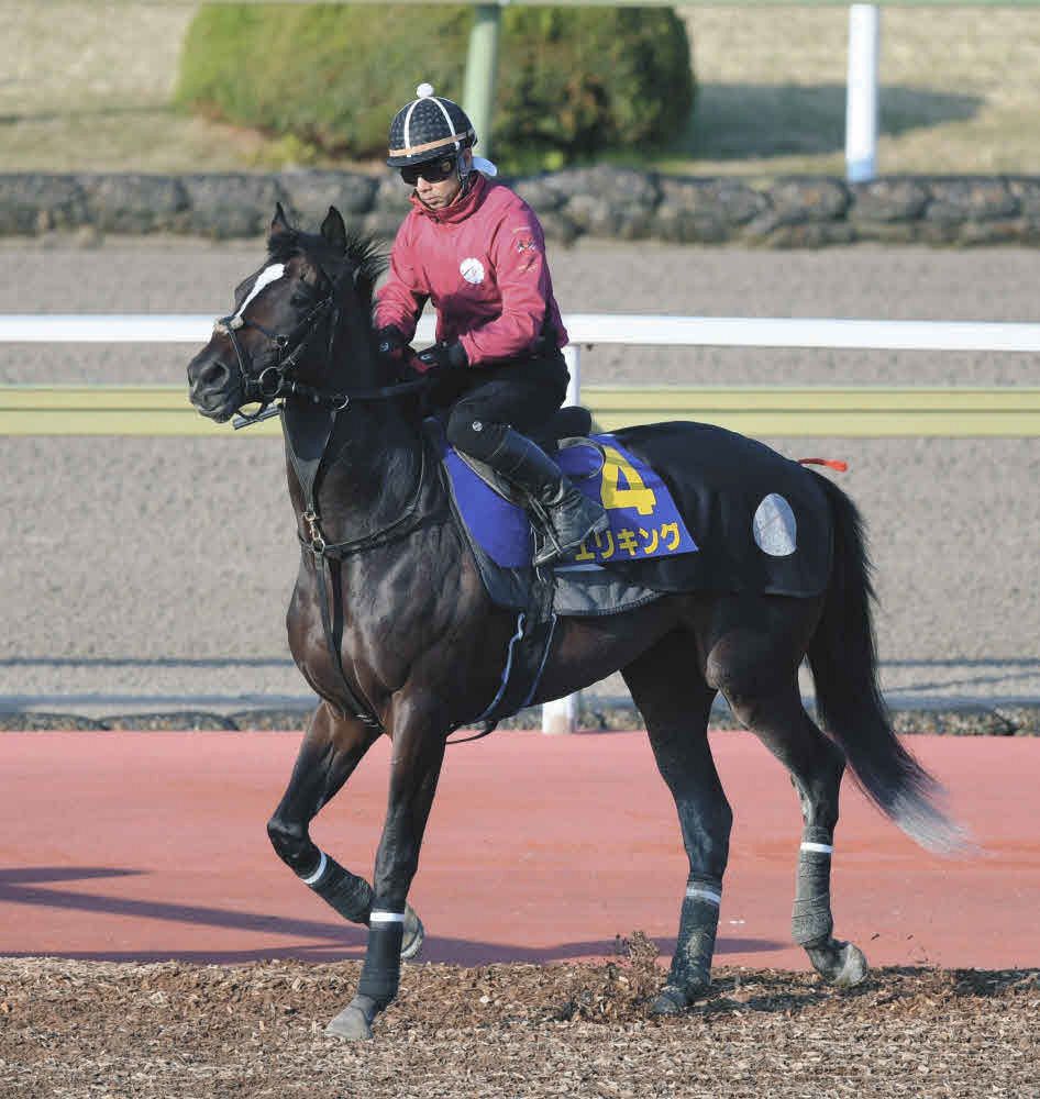 日本ダービー3連単ミニゼッケン 2025年 日本ダービー JRA