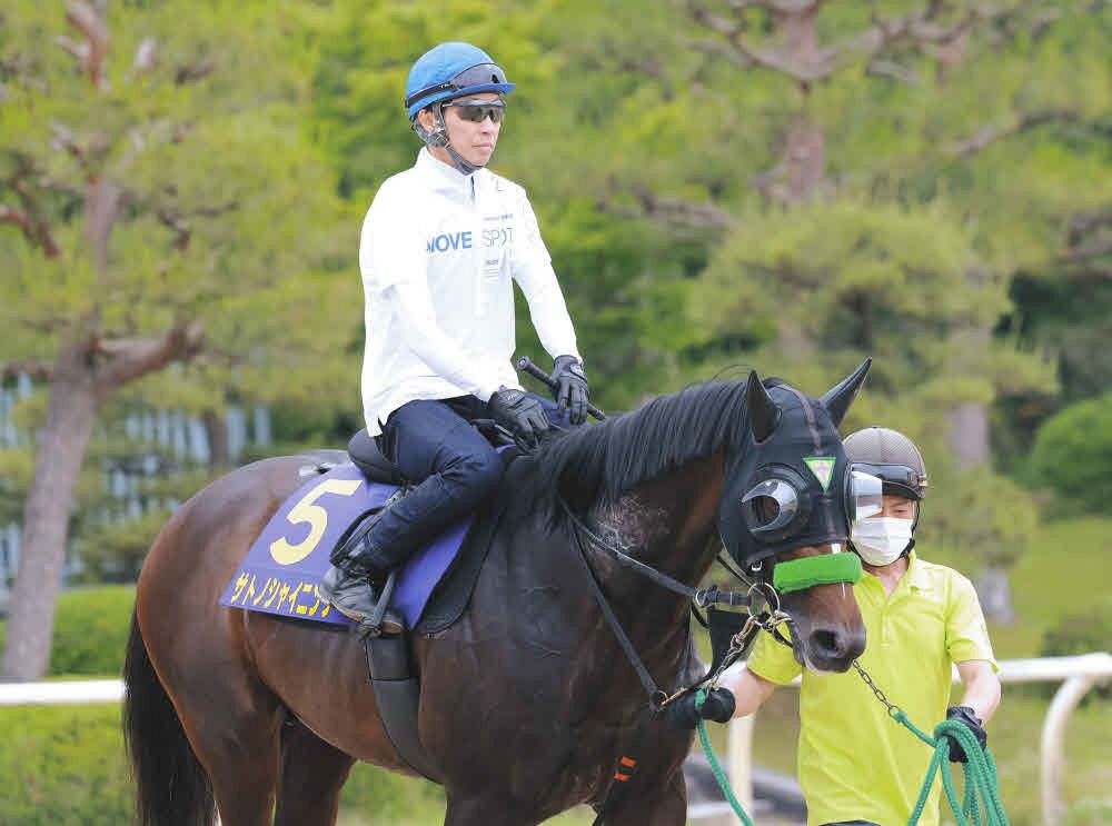 日本ダービー 枠順確定後のコメント】サトノシャイニング大外枠に山本
