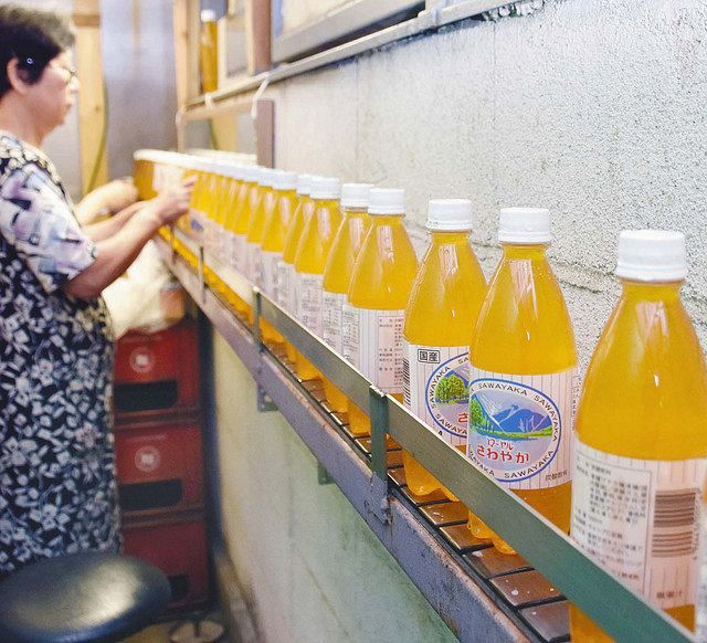 福井市 ご当地サイダー さわやか のど越し優しい微炭酸 中日新聞web