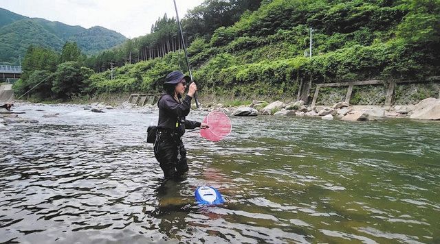 アユ友釣り お勧めライトスタイル 中日スポーツ 東京中日スポーツ