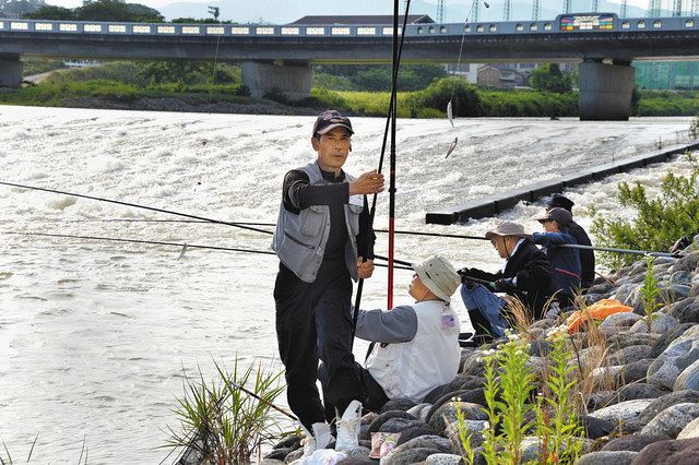 濁流も 釣果上々 石川県内 アユ釣り解禁 北陸中日新聞web