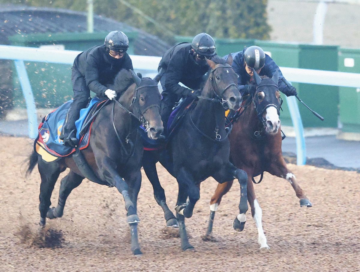 京都記念・追い切り】昨年天皇賞（春）制して以来のヘデントールは復帰 