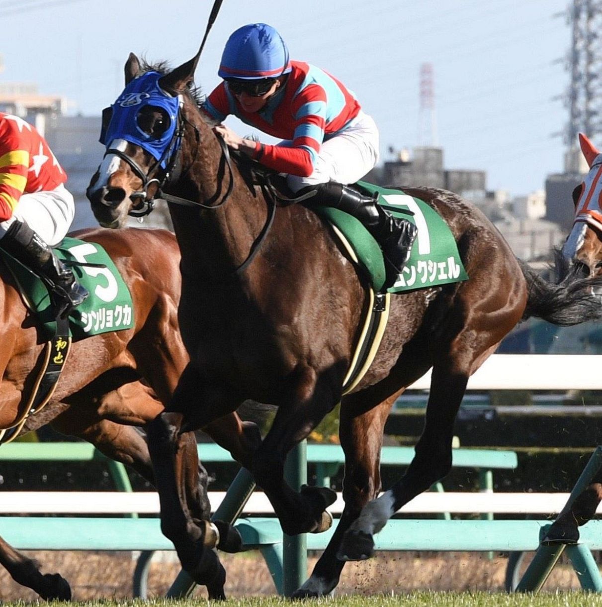 JRA】24年の中山牝馬S優勝コンクシェル競走馬登録抹消、北海道で繁殖馬