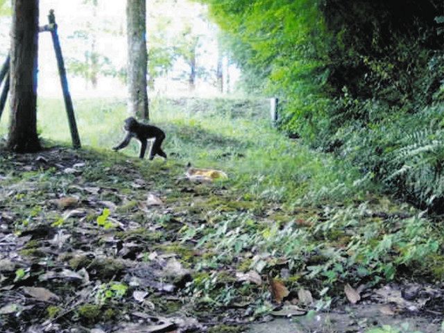 離れ去る