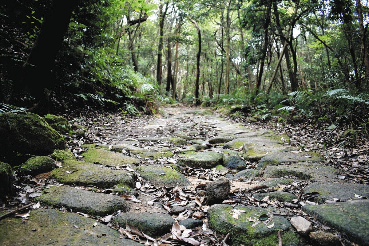 MIKAWAサーチ>(123)「道根往還」歩いてみると 山の中に今も MIKAWAサーチ>(123)「道根往還」歩いてみると 山の中に今も