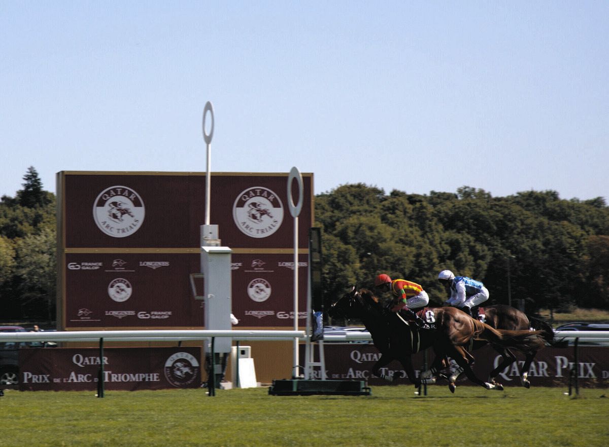 小泉恵未コラム】凱旋門賞・追加登録馬ミニーホーク筆頭にアヴァンチュール、ダリズ…日本馬に立ちはだかる3頭：中日スポーツ・東京中日スポーツ