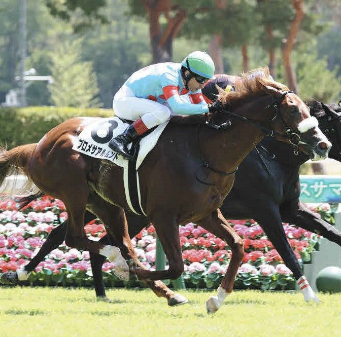 d9280bccbe2a8e54257fce4cb0a2e3