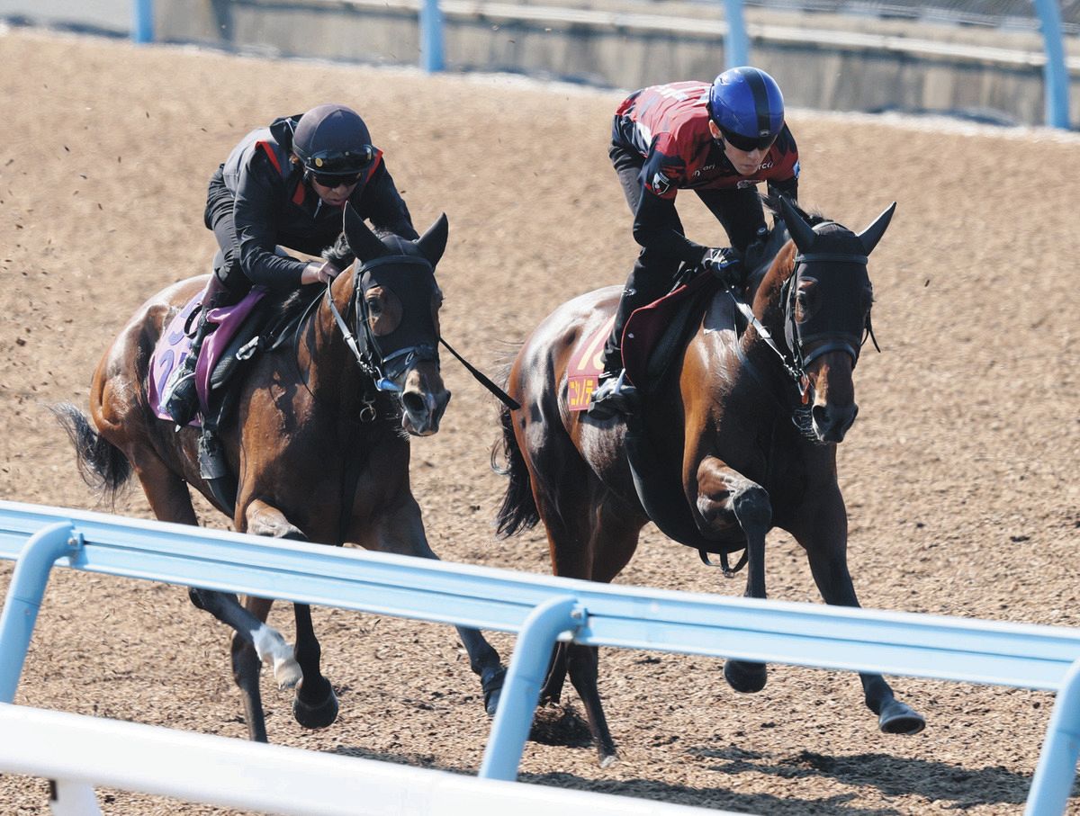 ヴィクトリアマイル追い切り】ニシノティアモは併せ馬で5F68秒0―11秒8