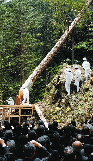 瀬音も祝う選ばれし地 中津川・式年遷宮のご神木の切り株：中日新聞Web