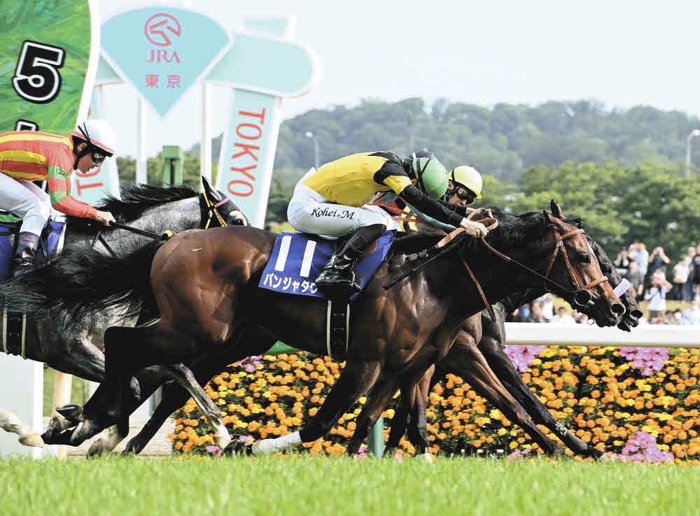 本城雅人コラム】高速決着を想定、「しまい勝負」で制した松山騎手の