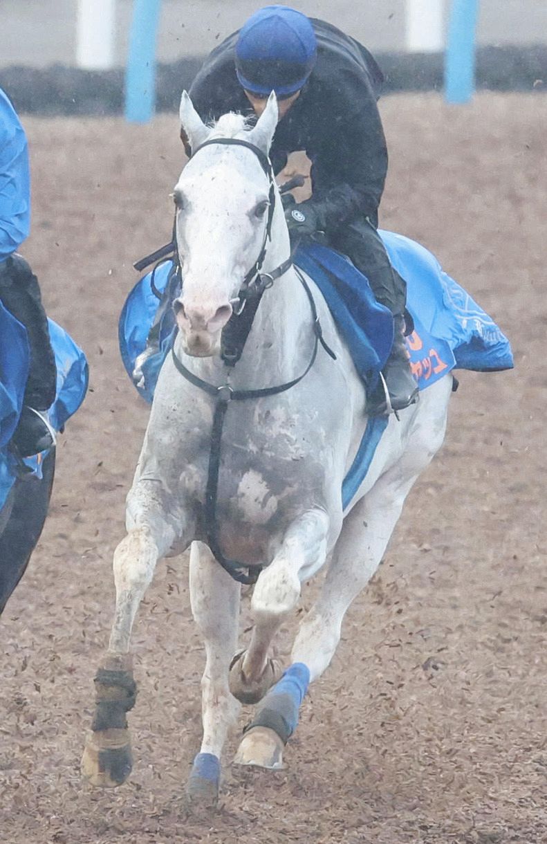 アルゼンチン共和国杯】白毛馬ハヤヤッコが重賞3勝目 2着に1番人気