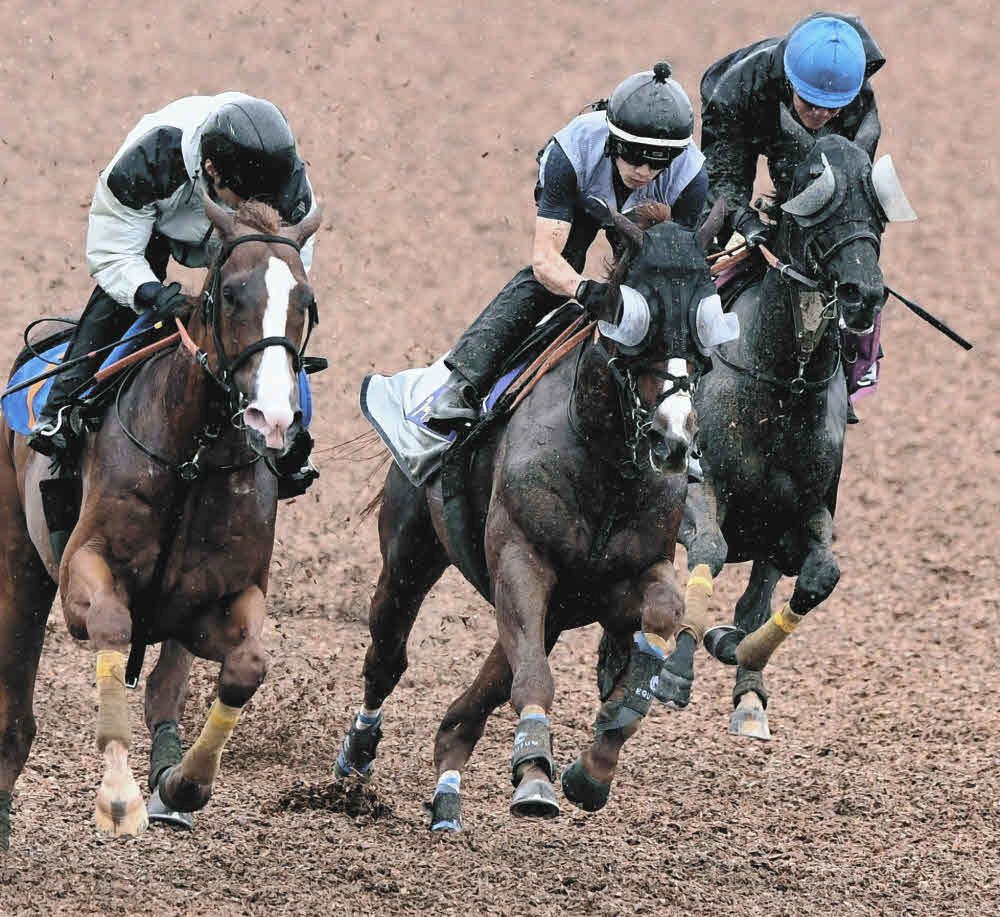 宝塚記念追い切り】アーバンシックは3頭併せ、リラックスした