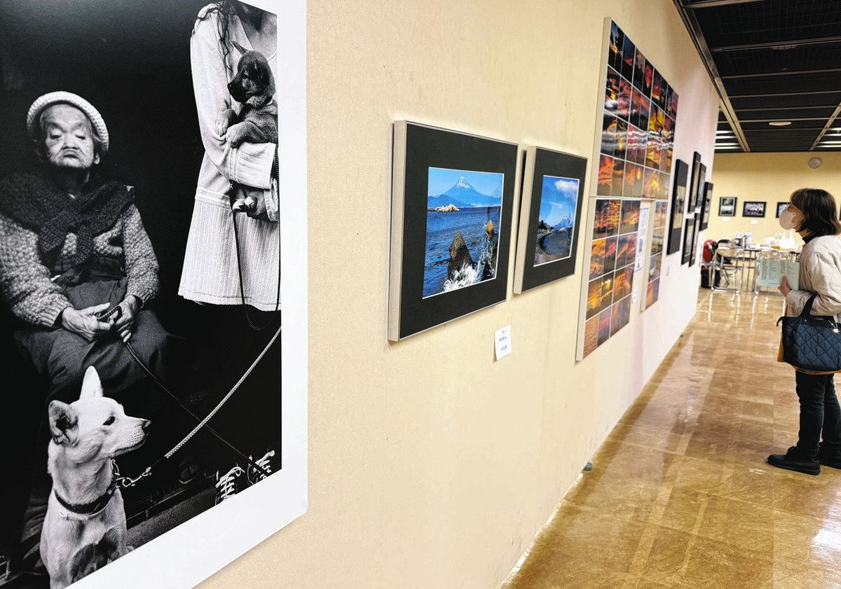県内在住の写真家らの作品が並ぶ会場＝津市西丸之内で
