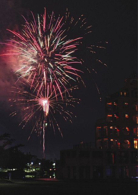 秘密の花火 大輪に拍手 春日井 中日新聞web